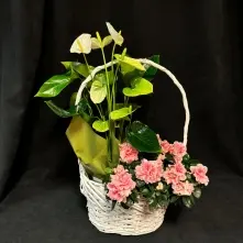 Cos cu Azalee si Anthurium alt vedere product 2