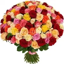 201 roses mix  "Olanda" 30-40cm alt vedere product